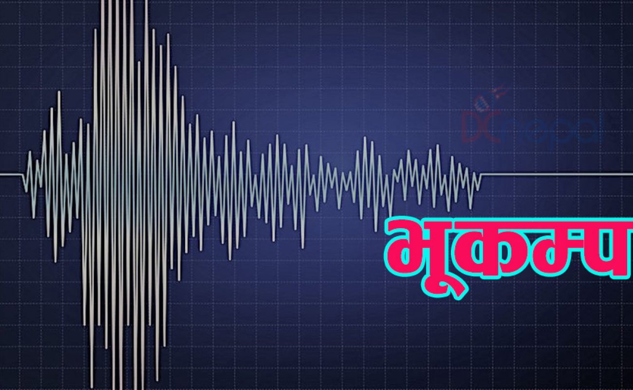 Earthquake frequency wave graph, seismic activity. Vector abstract scientific background. Diagram seismograph, vibration amplitude illustration, can be used for business, science  presentation